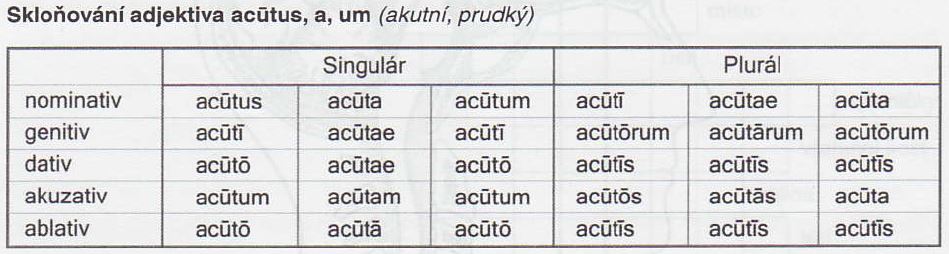 .acutus.jpg